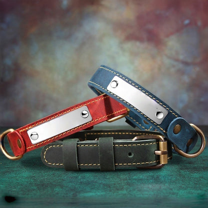 Lifestyle shot of mixed color genuine leather dog collars with custom stainless steel ID tags for pet owners