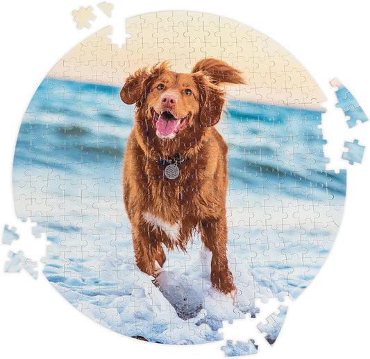 Custom round shaped photo jigsaw puzzle personalized with dog beach portrait, unfinished circular pet memory keepsake puzzle for pet loss memorial gift